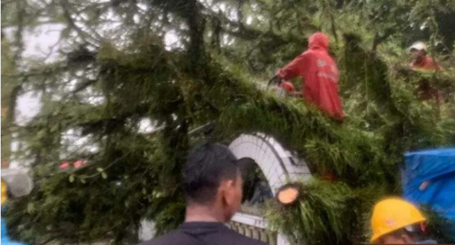 Satu Orang Meninggal Akibat Pohon Tumbang di Komplek Makam Syekh Burhanuddin 